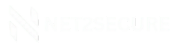 Net2Secure Logo